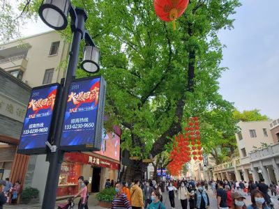 广州ph4双面灯杆屏幕 165套